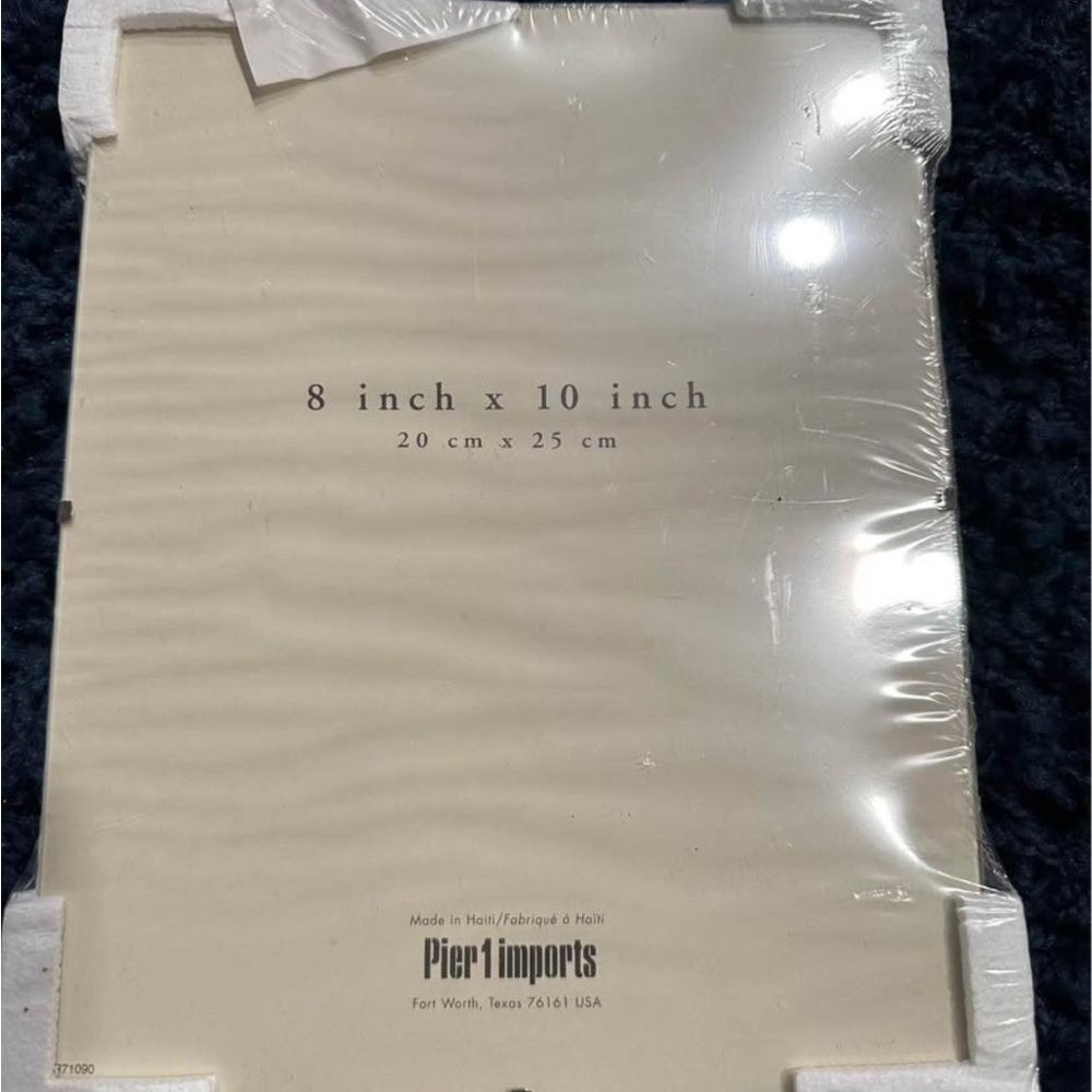 Pier 1 Imports 8x10 Picture Frame